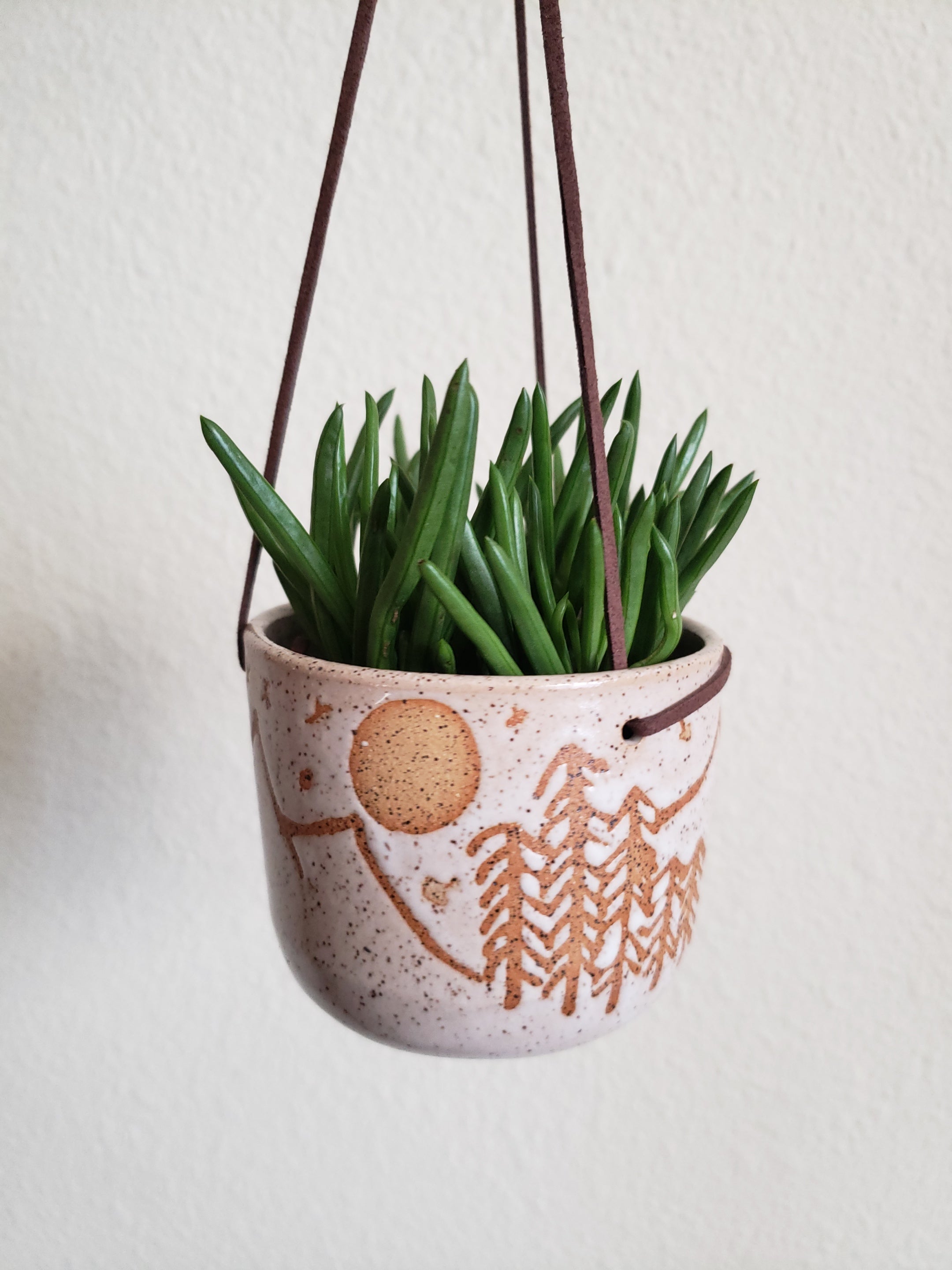 Hanging Planter - Speckled Mountain