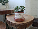 Tabletop Planter - Terracotta