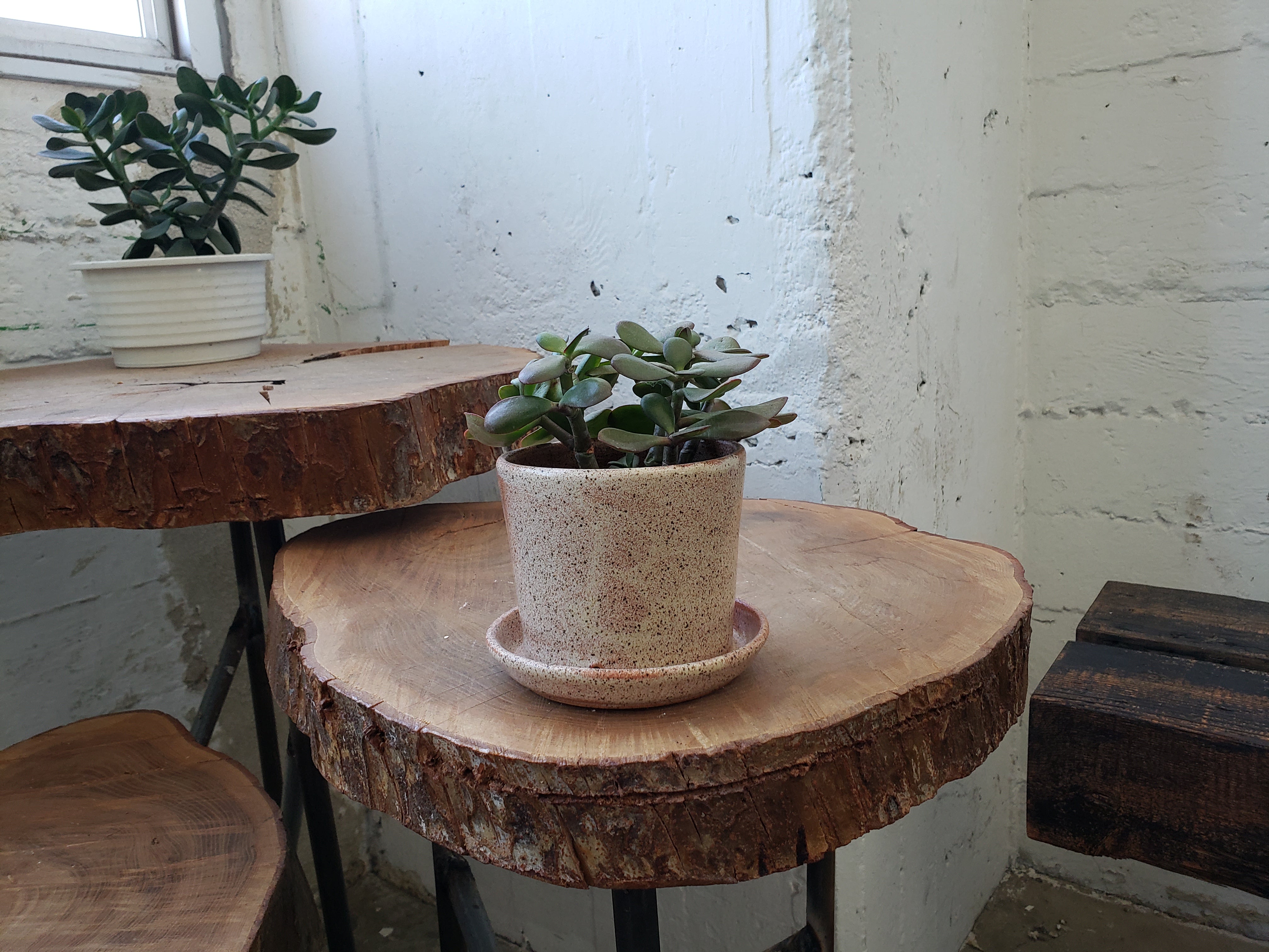 Tabletop Planter - Rust