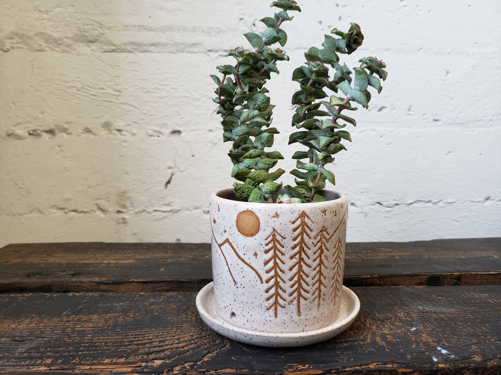Tabletop Planter - Speckled Mountain