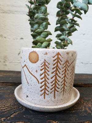 Tabletop Planter - Speckled Mountain