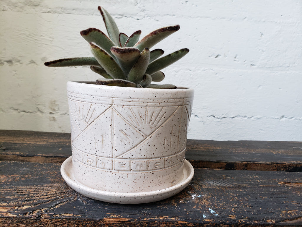 Tabletop Planter - Speckled White Suns and Mountains