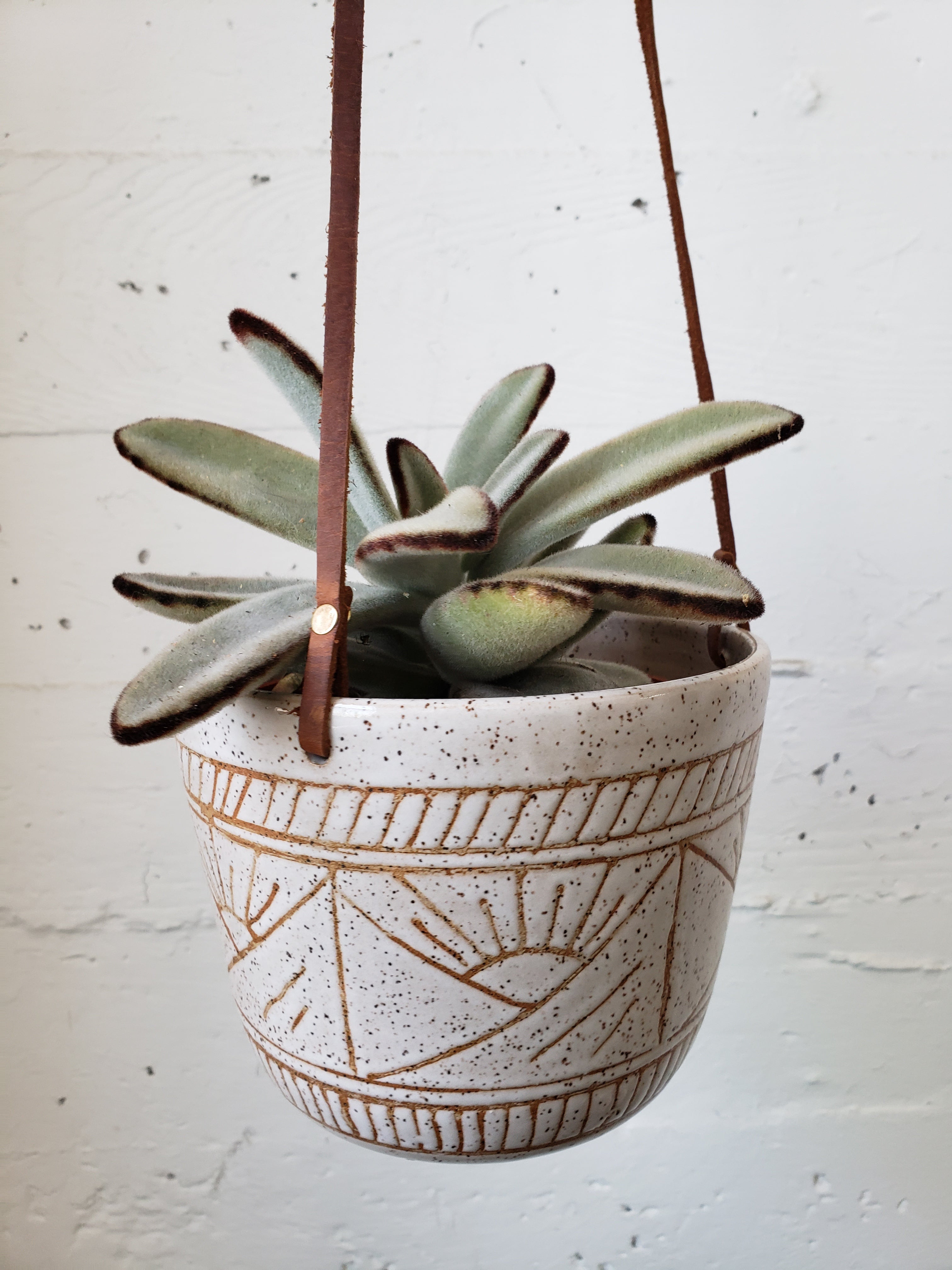 Hanging Planter - Speckled White Suns and Mountains