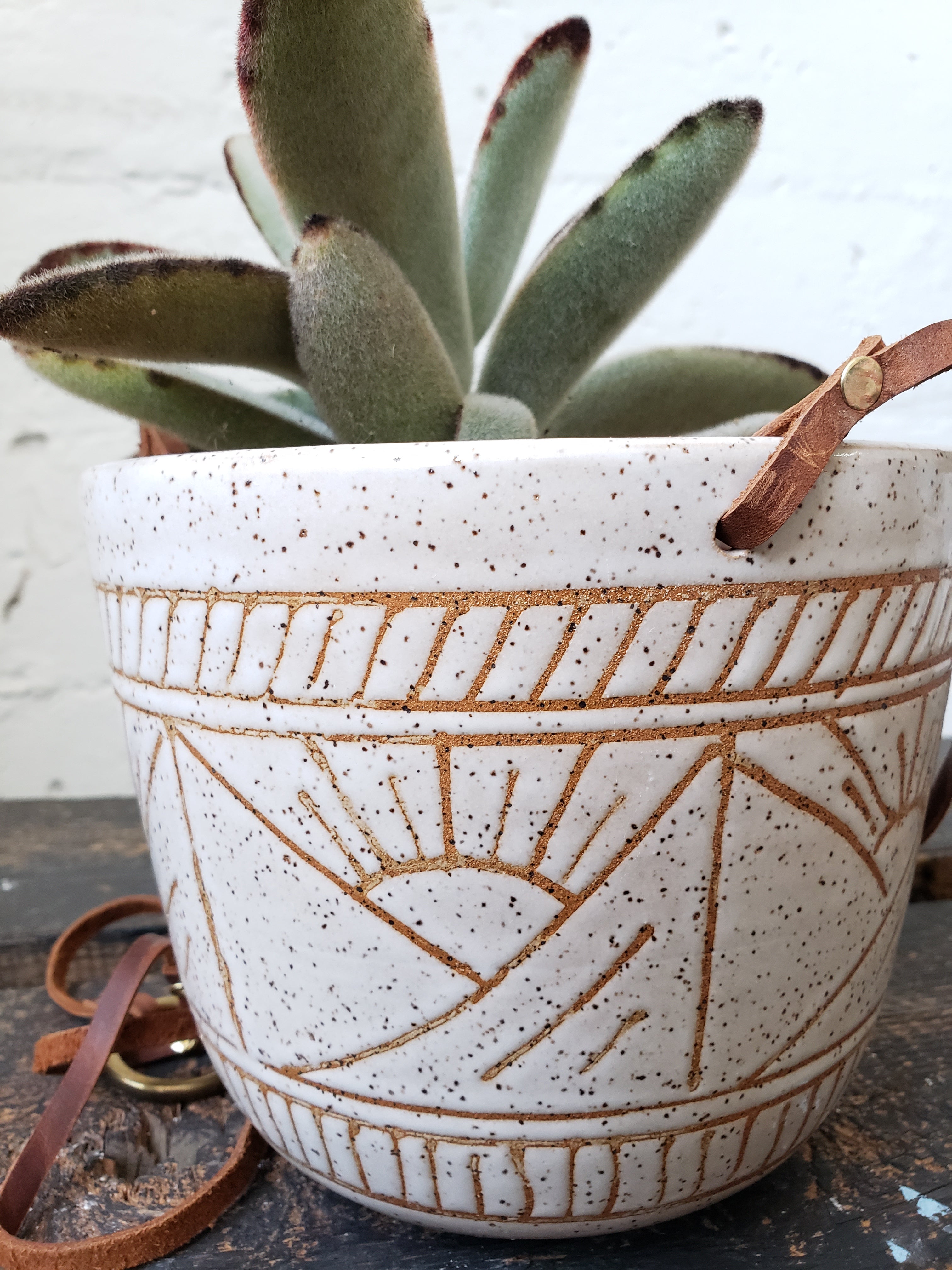 Hanging Planter - Speckled White Suns and Mountains