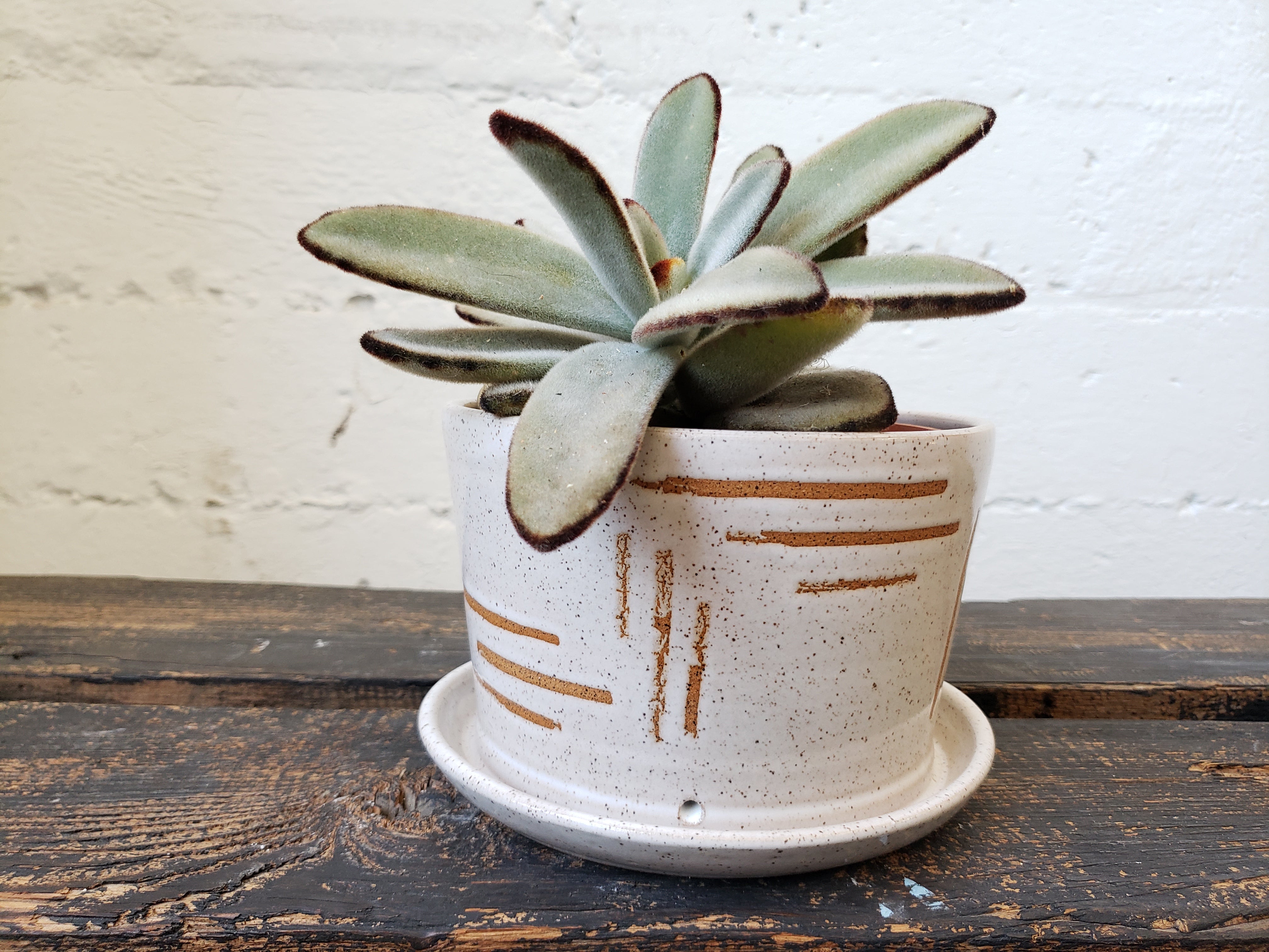 Tabletop Planter - Speckled White Geometric Lines