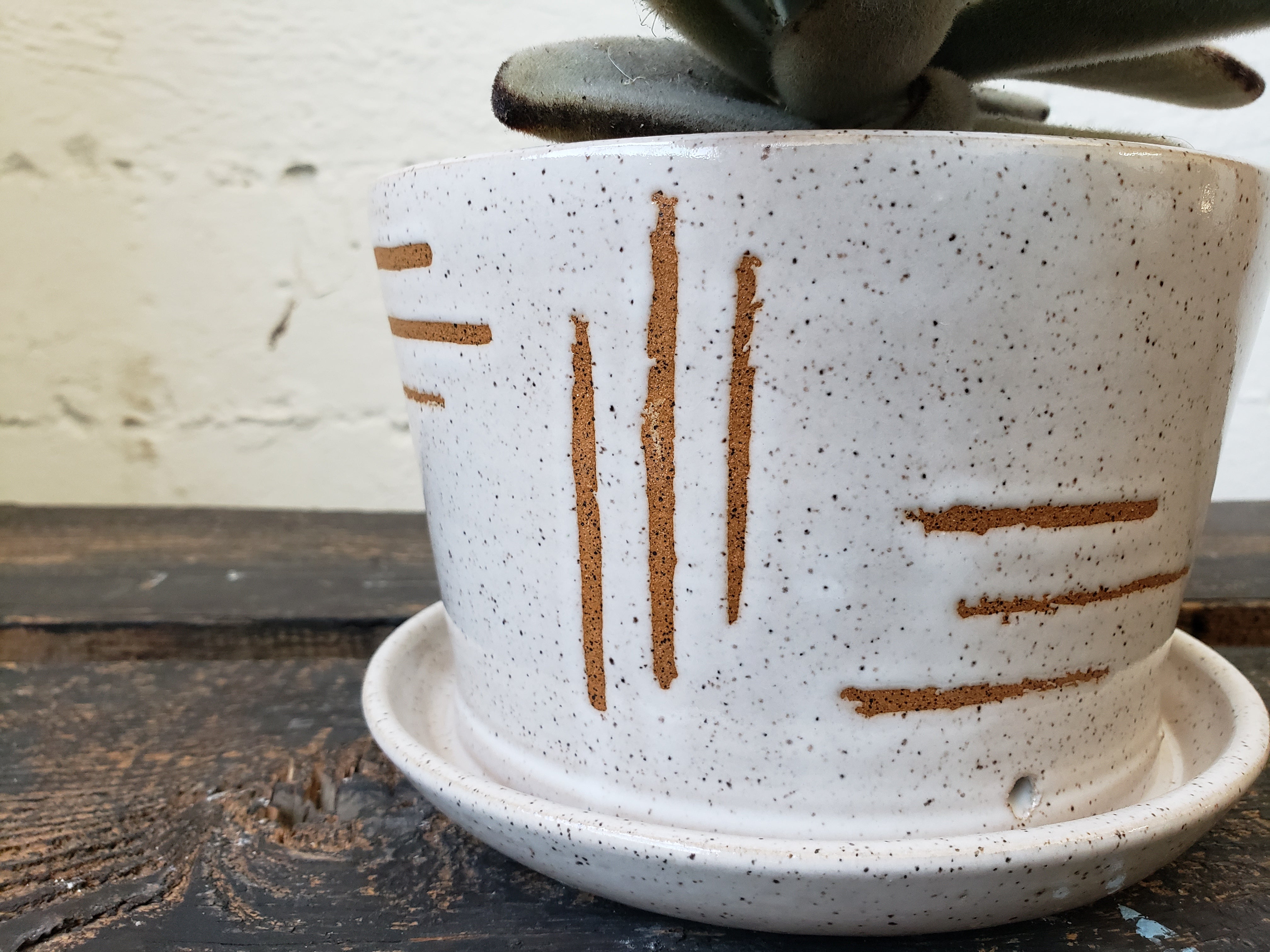 Tabletop Planter - Speckled White Geometric Lines