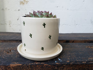 SALE Tabletop Planter - Cactus