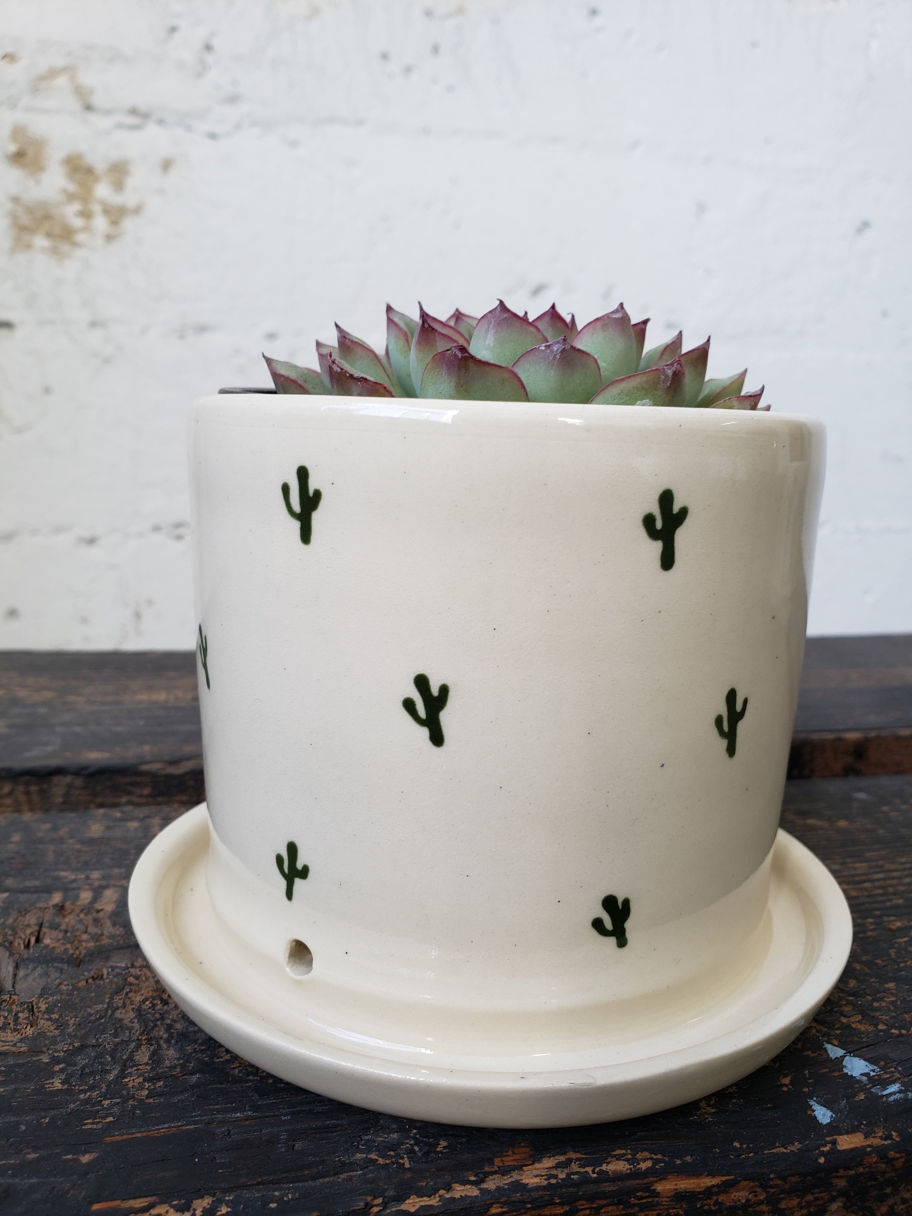 SALE Tabletop Planter - Cactus