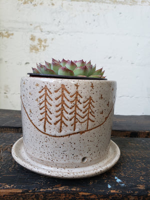 4" Planter - Speckled Mountain