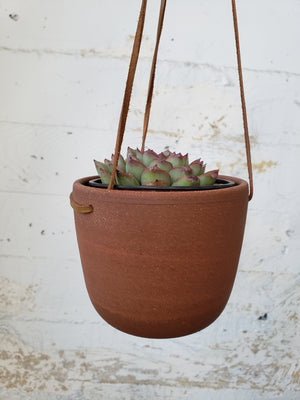 4" Planter - Terracotta