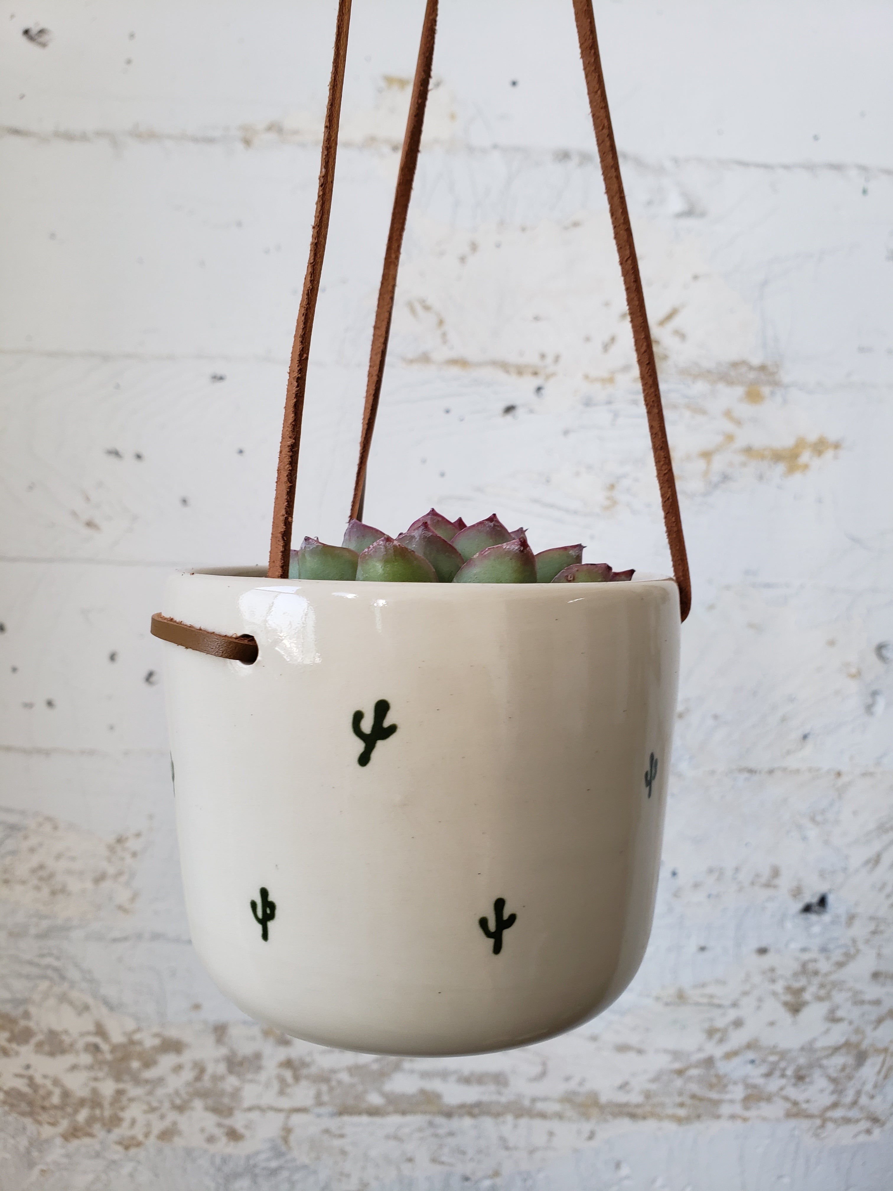 SALE Tabletop Planter - Cactus