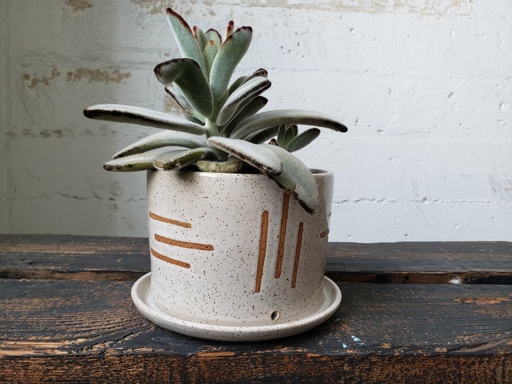 Tabletop Planter - Speckled Geometric Lines