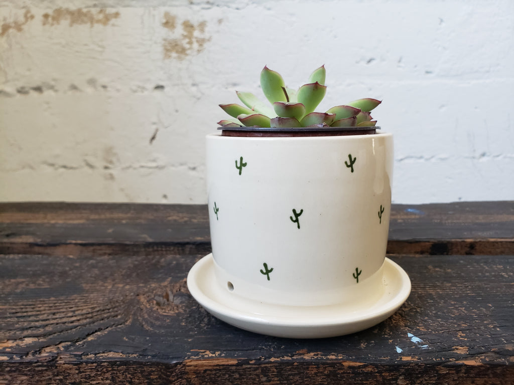 SALE Tabletop Planter - Cactus