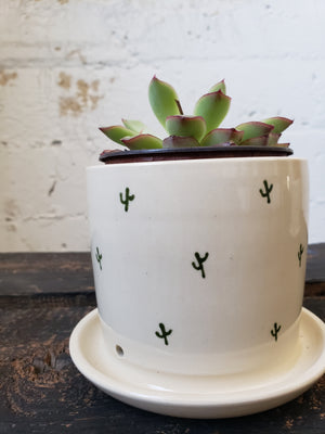 SALE Tabletop Planter - Cactus