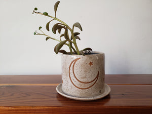 Tabletop Planter - Moon and Stars
