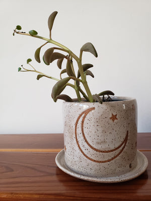Tabletop Planter - Moon and Stars